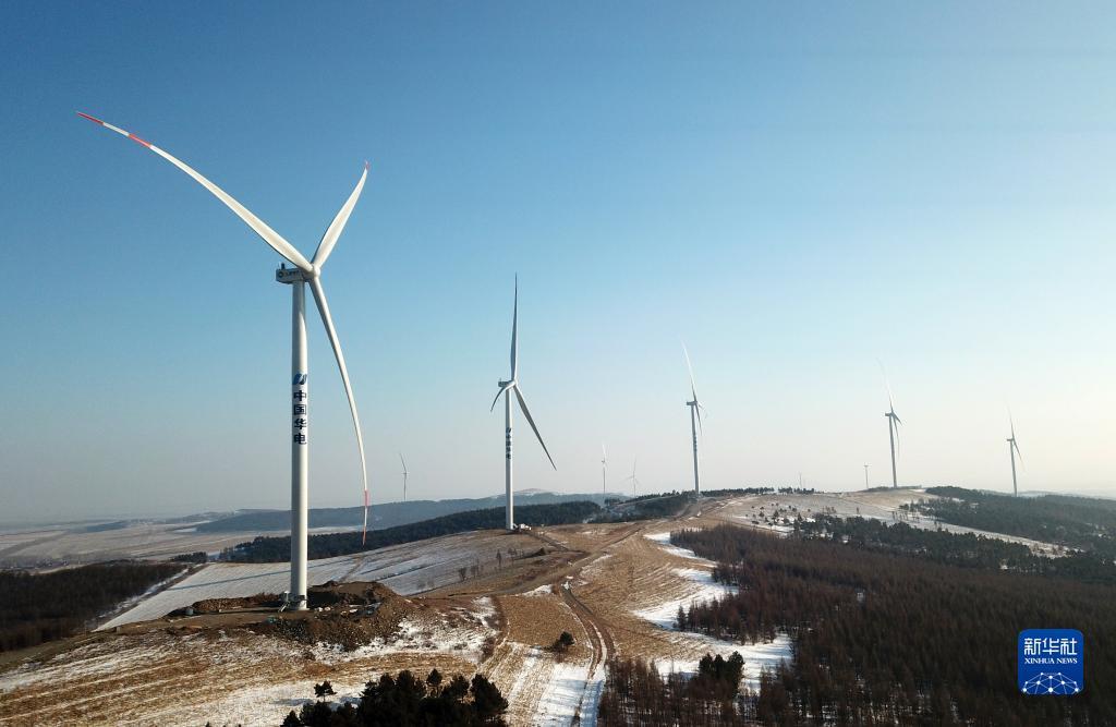 龙虎国际平台登录